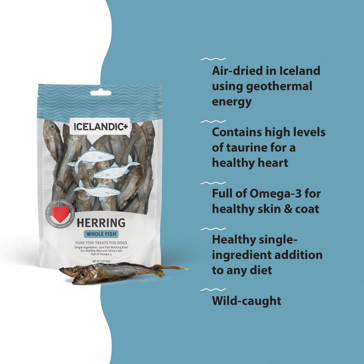 Icelandic+ Dog Treats - Herring Whole Fish