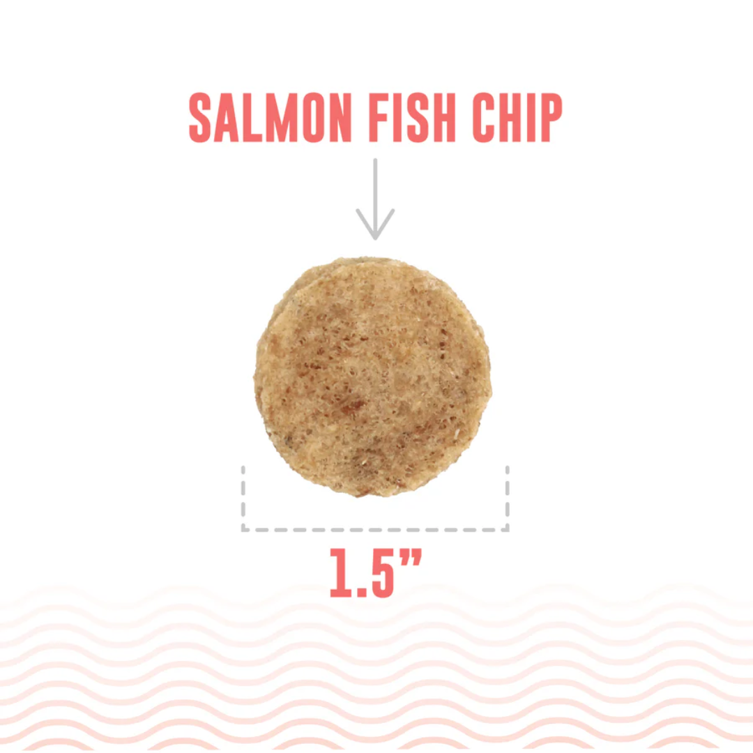 Icelandic+ Dog Treats - Salmon Fish Chips