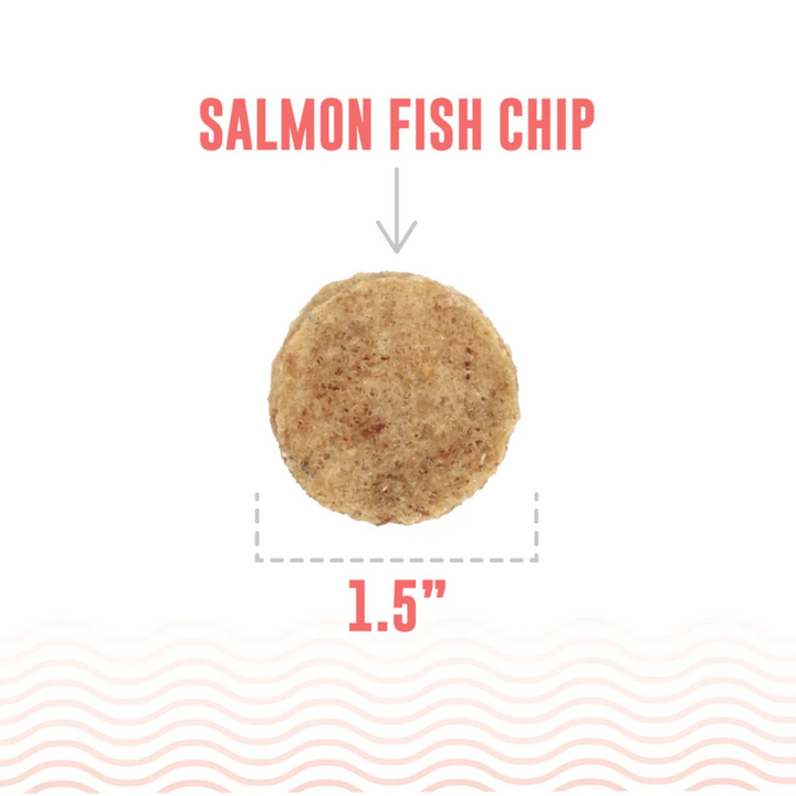 Icelandic+ Dog Treats - Salmon Fish Chips