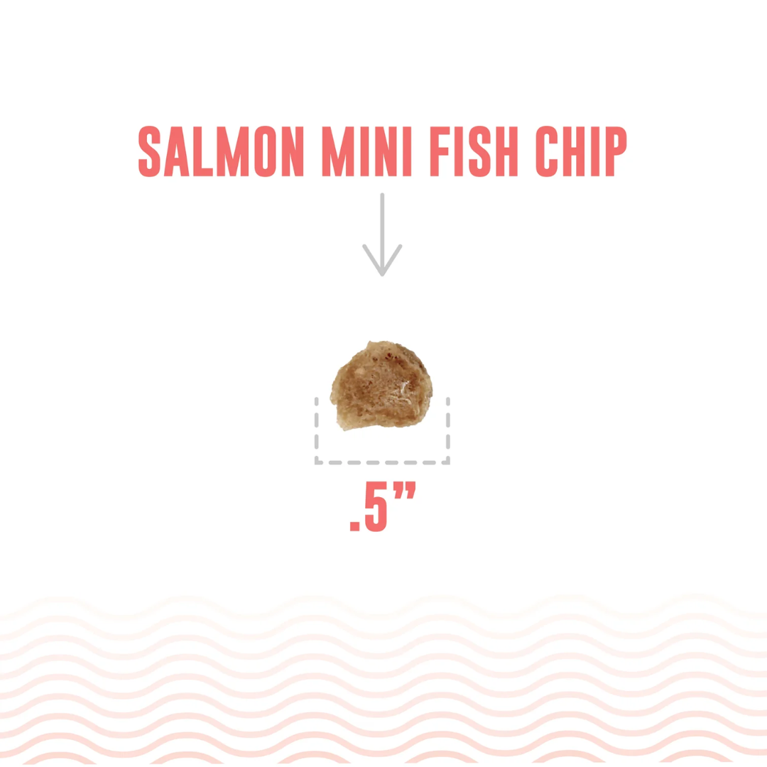 Icelandic+ Dog Treats - Salmon Mini Fish Chips