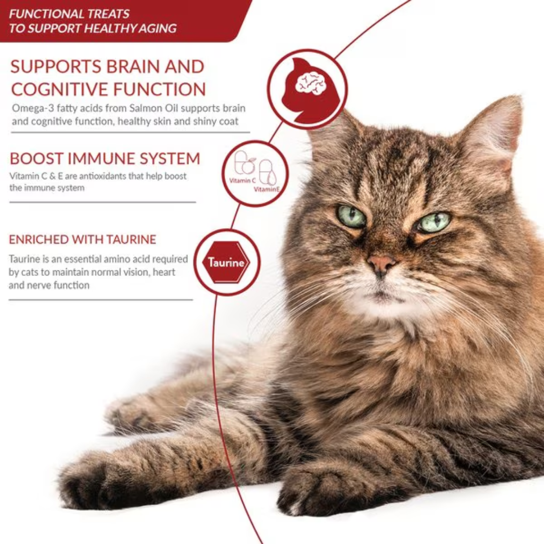 Inaba Cat Treats - Churu Purees Senior 10+ Chicken Recipe Pouch