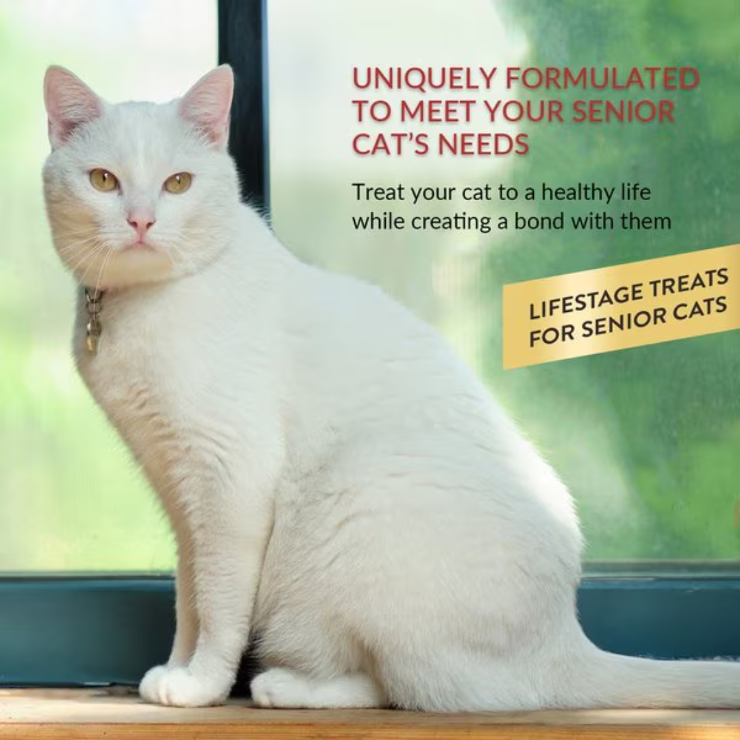 Inaba Cat Treats - Churu Purees Senior 10+ Chicken Recipe Pouch