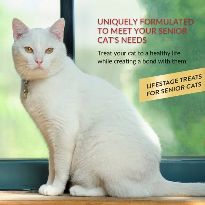 Inaba Cat Treats - Churu Purees Senior 10+ Chicken Recipe Pouch