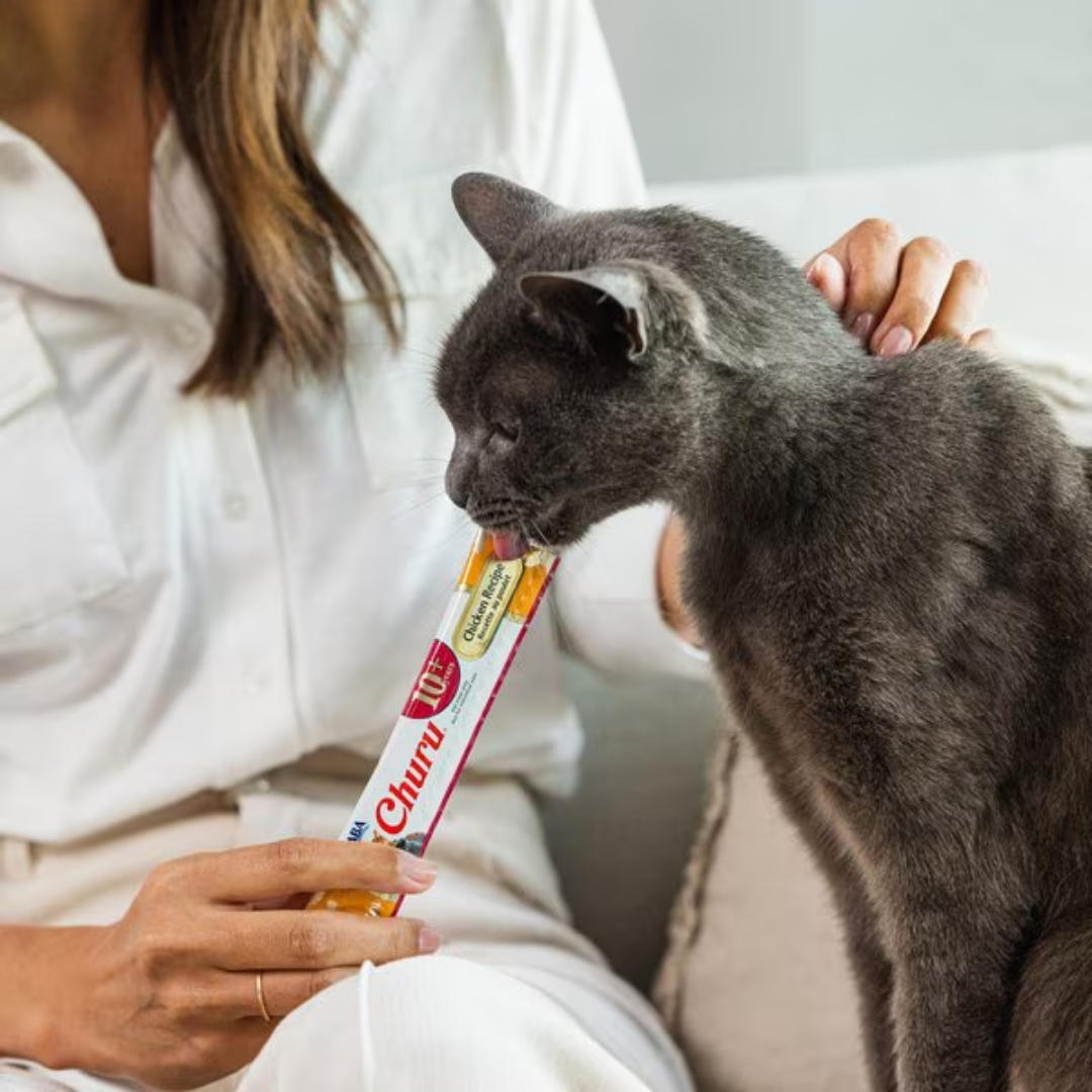 Inaba Cat Treats - Churu Purees Senior 10+ Chicken Recipe Pouch