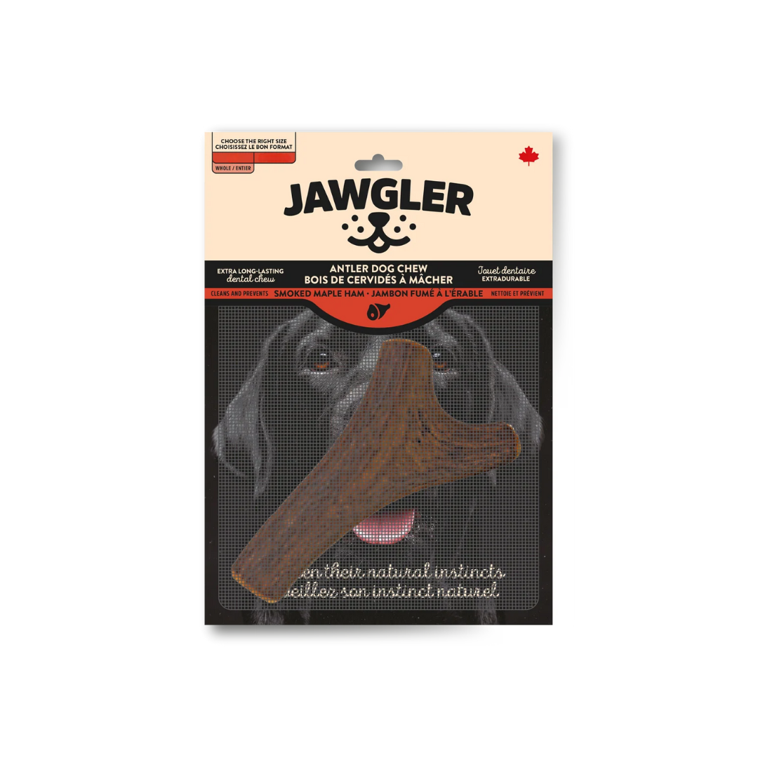 Jawgler Dog Treats - Antler Smoked Maple Ham Chew