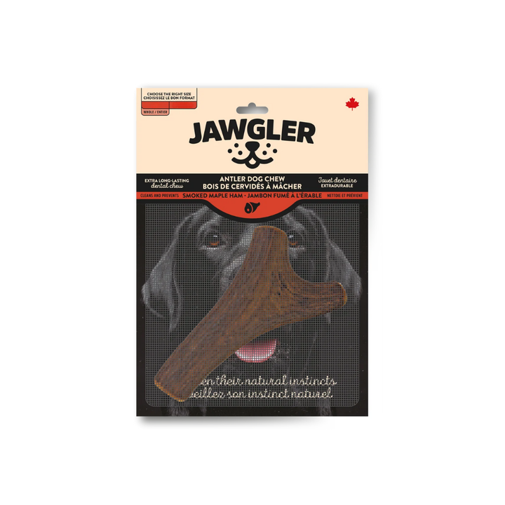Jawgler Dog Treats - Antler Smoked Maple Ham Chew