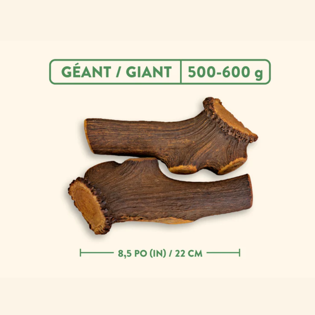 Jawgler Dog Treats - Antler Smoked Maple Ham Chew