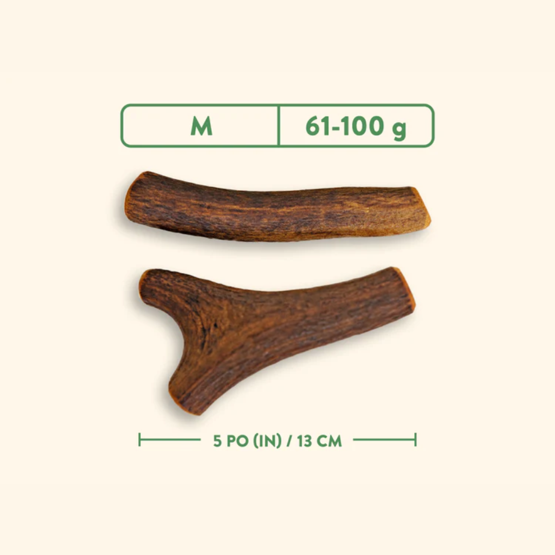 Jawgler Dog Treats - Antler Smoked Maple Ham Chew