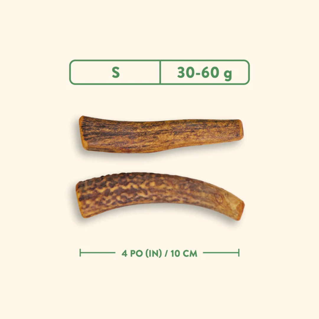 Jawgler Dog Treats - Antler Smoked Maple Ham Chew