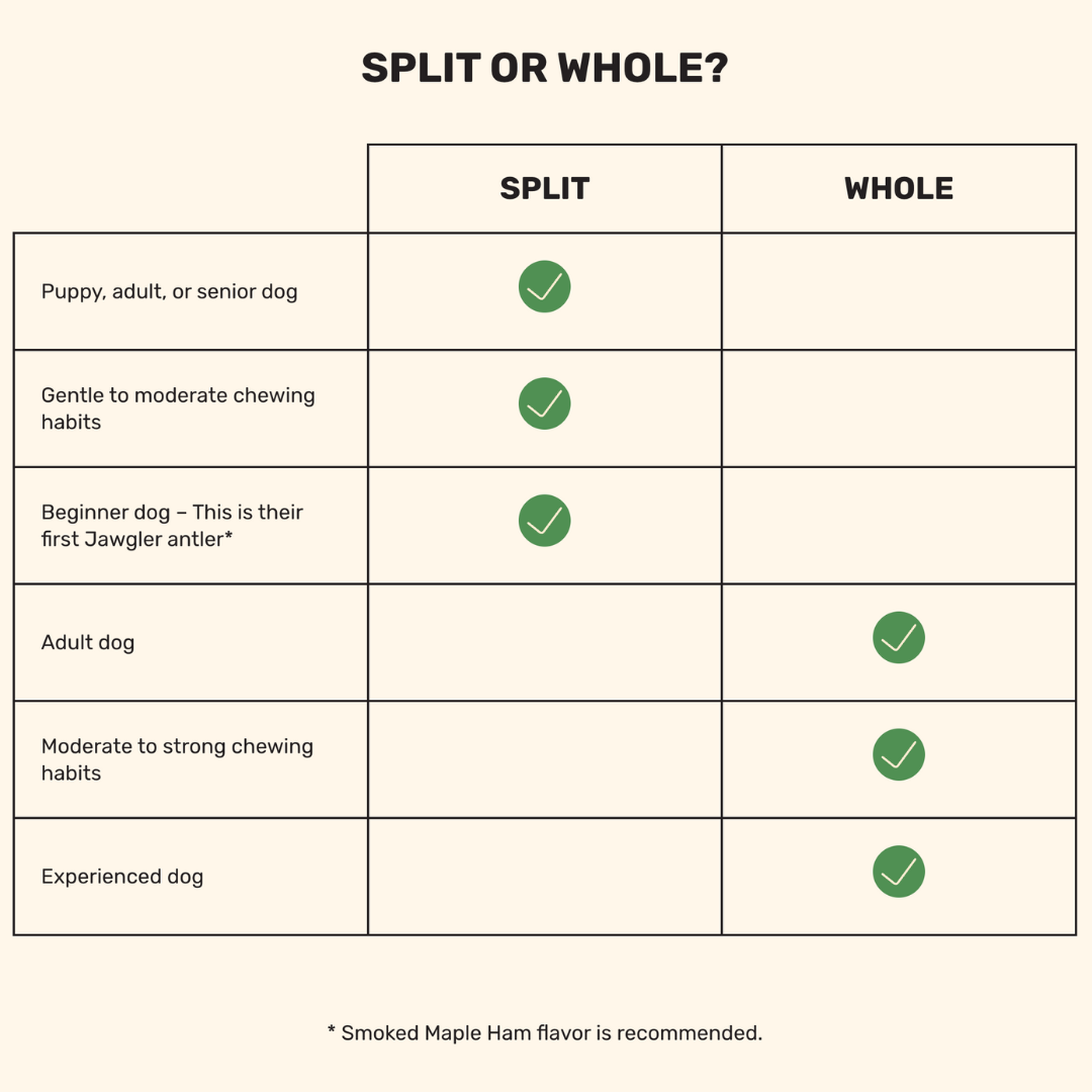 Jawgler Dog Treats - Antler Smoked Maple Ham Chew