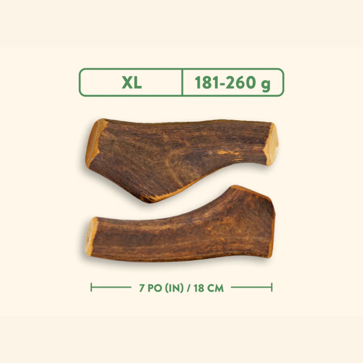 Jawgler Dog Treats - Antler Smoked Maple Ham Chew