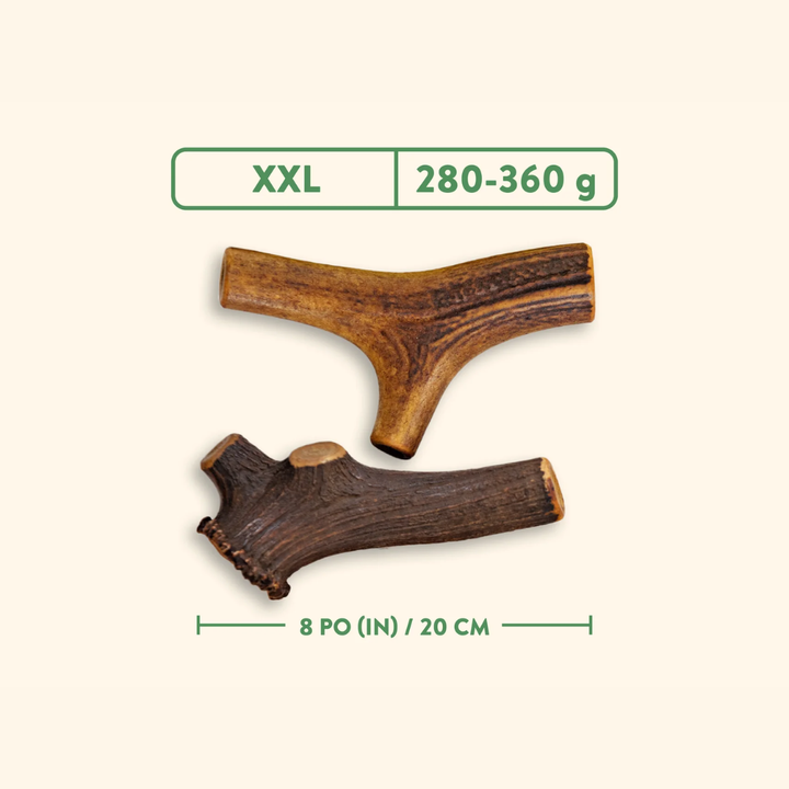 Jawgler Dog Treats - Antler Smoked Maple Ham Chew