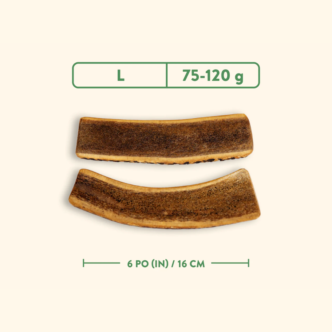 Jawgler Dog Treats - Split Antler Smoked Maple Ham Chew
