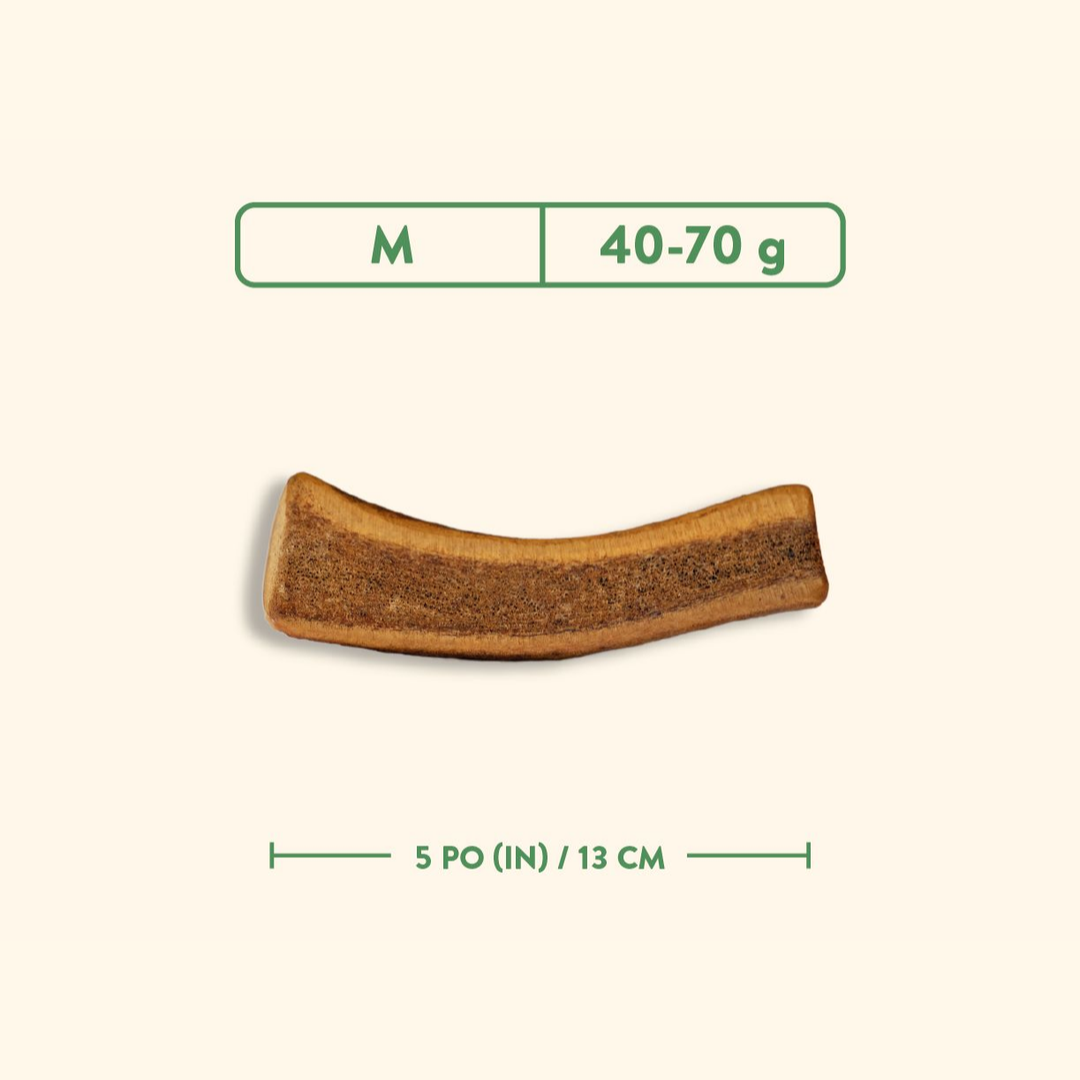 Jawgler Dog Treats - Split Antler Smoked Maple Ham Chew