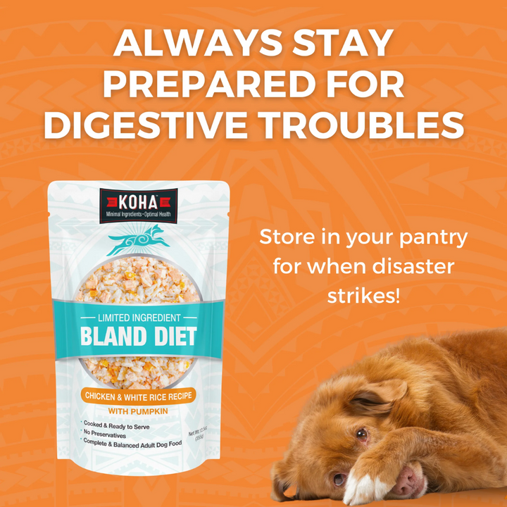 KOHA Wet Dog Food - Limited Ingredient Wet Bland Diet Chicken & White Rice Recipe