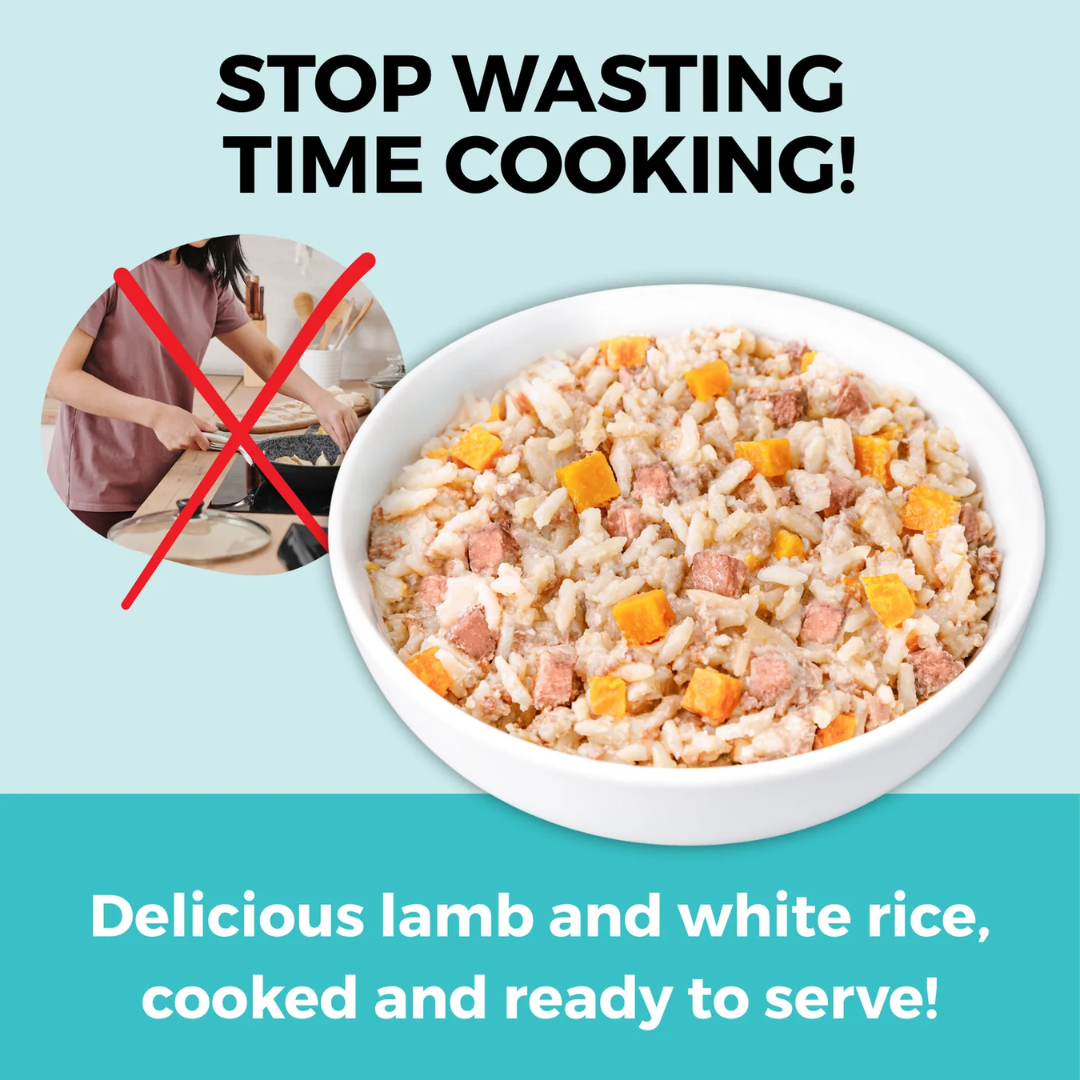 KOHA Wet Dog Food - Limited Ingredient Wet Bland Diet Lamb & White Rice Recipe