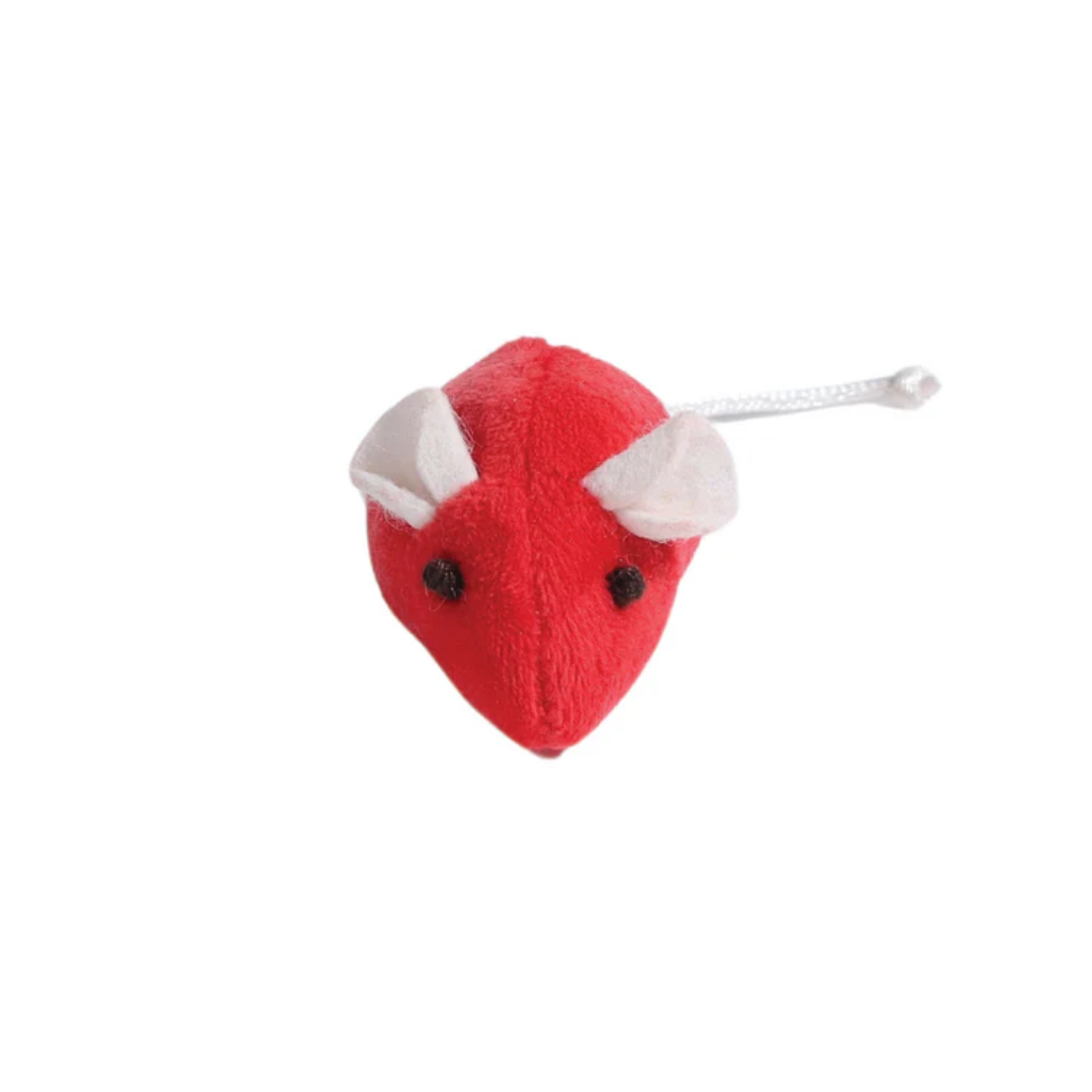 M-PETS Cat Toys - Box of Wonders Ollie
