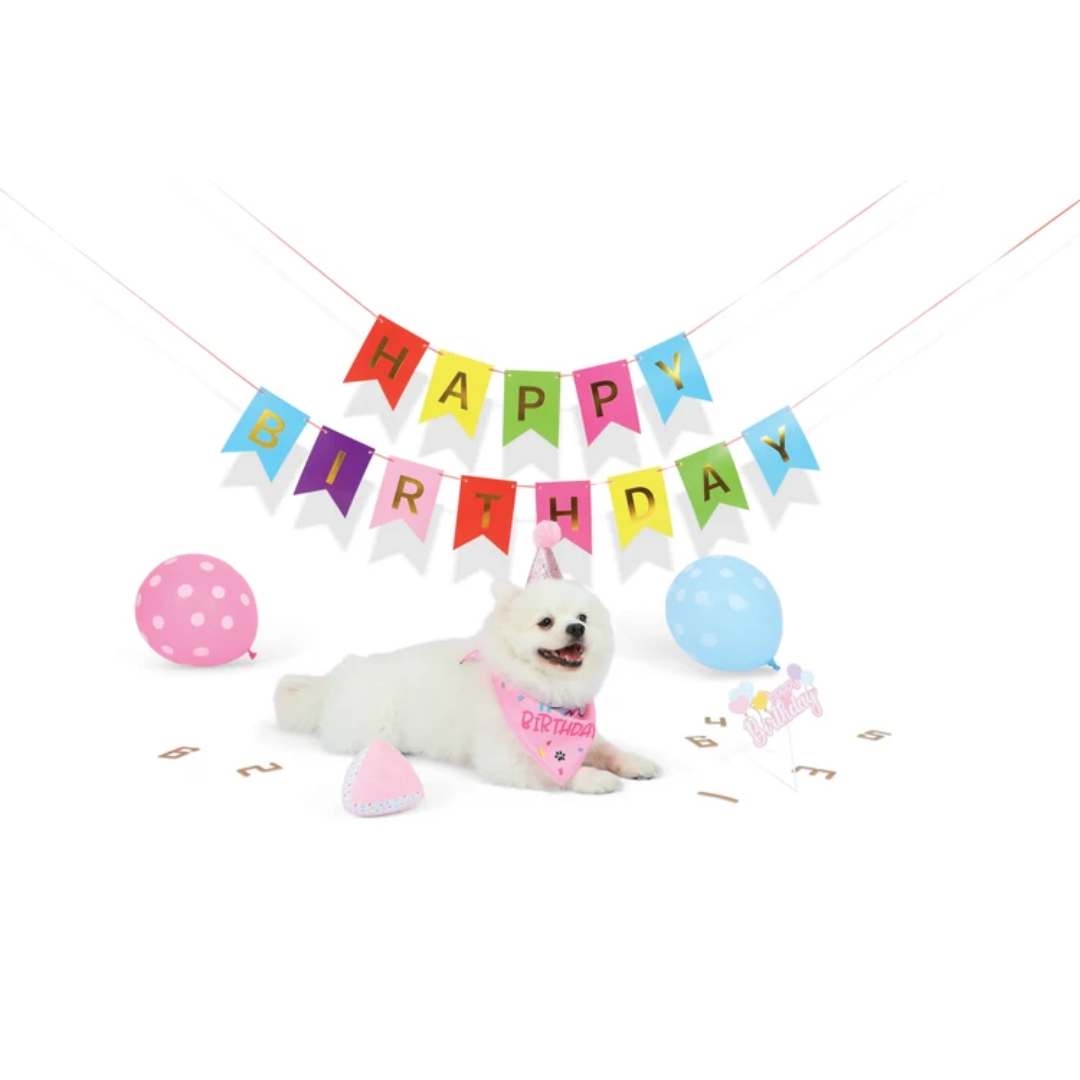 M-PETS Dog Toys - PARTY TIME DOG Lady's Set