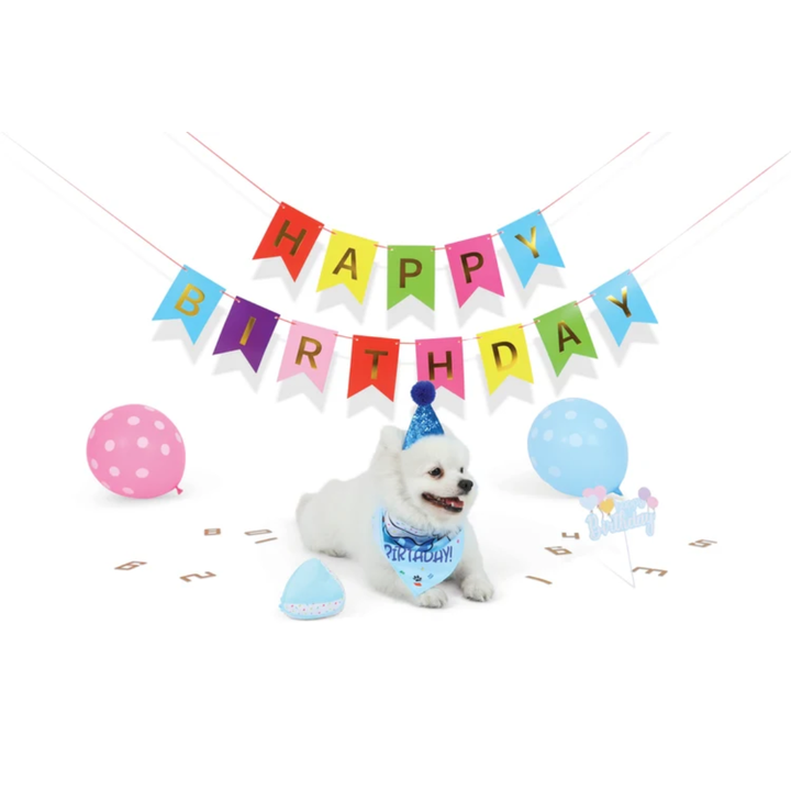 M-PETS Dog Toys - PARTY TIME Dog Gentleman's Set
