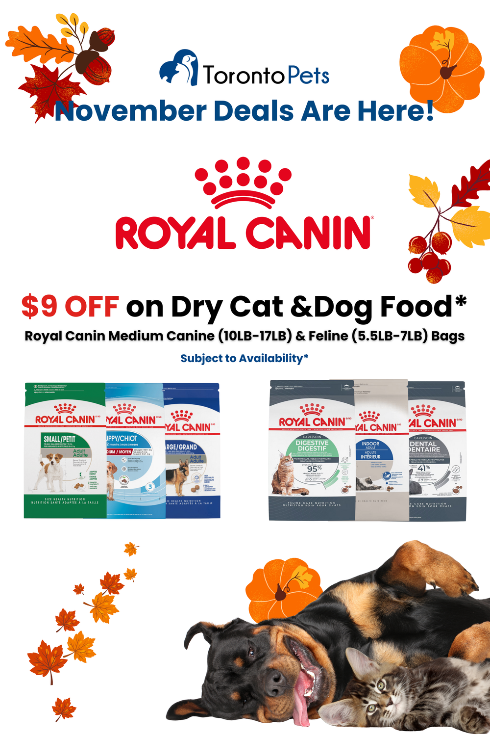 Royal Canin