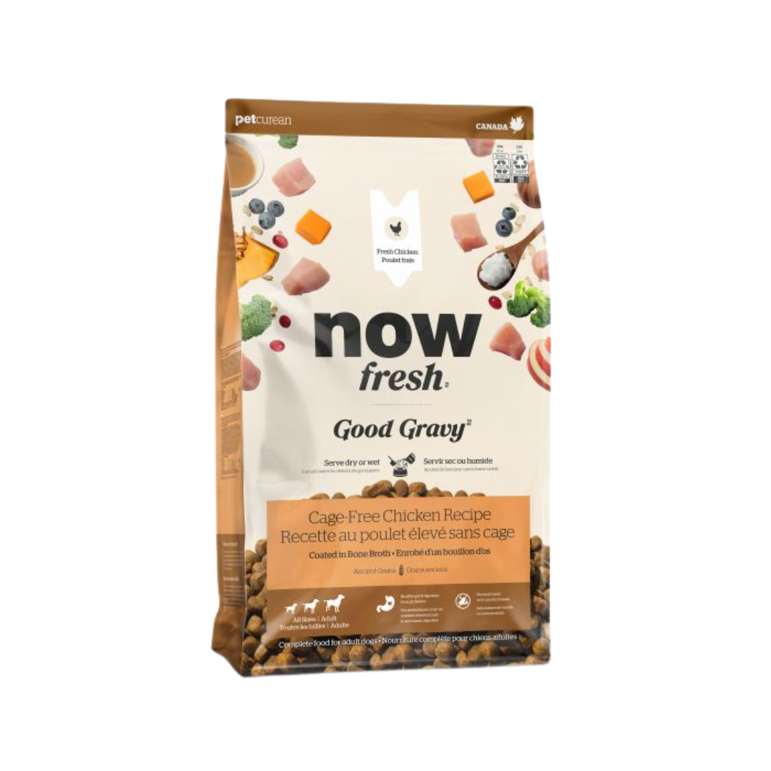 Now Fresh Dry Dog Food - Good Gravy Chicken Recipe With Ancient Grains