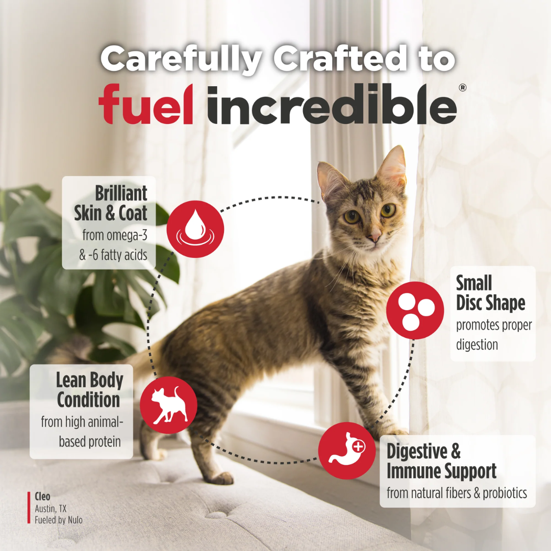 Nulo Freestyle Dry Cat Food - High-Protein Kibble Chicken & Cod Recipe