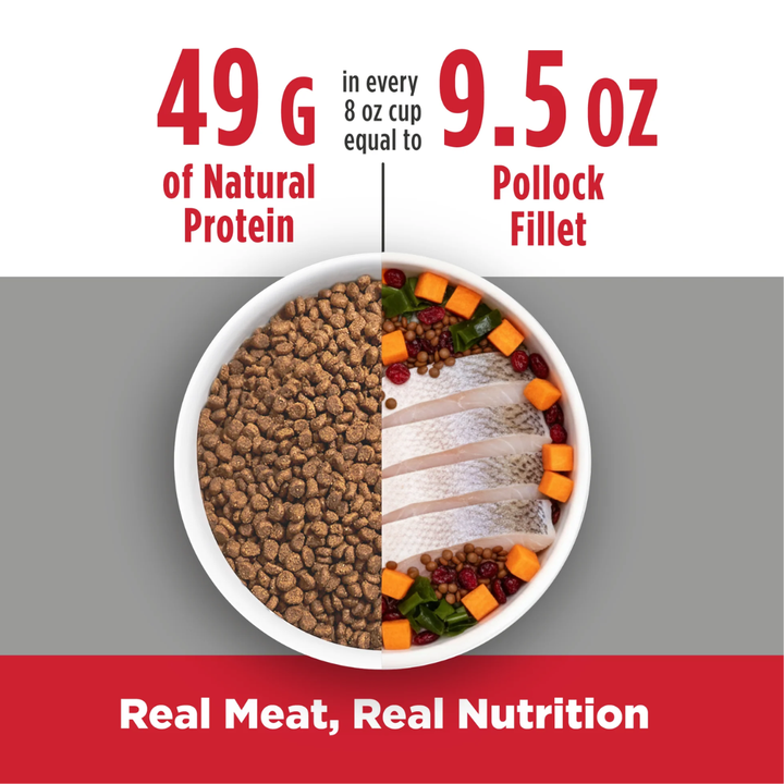 Nulo Freestyle Dry Cat Food - High-Protein Kibble For Seniors Alaska Pollock, Duck & Sweet Potato Recipe