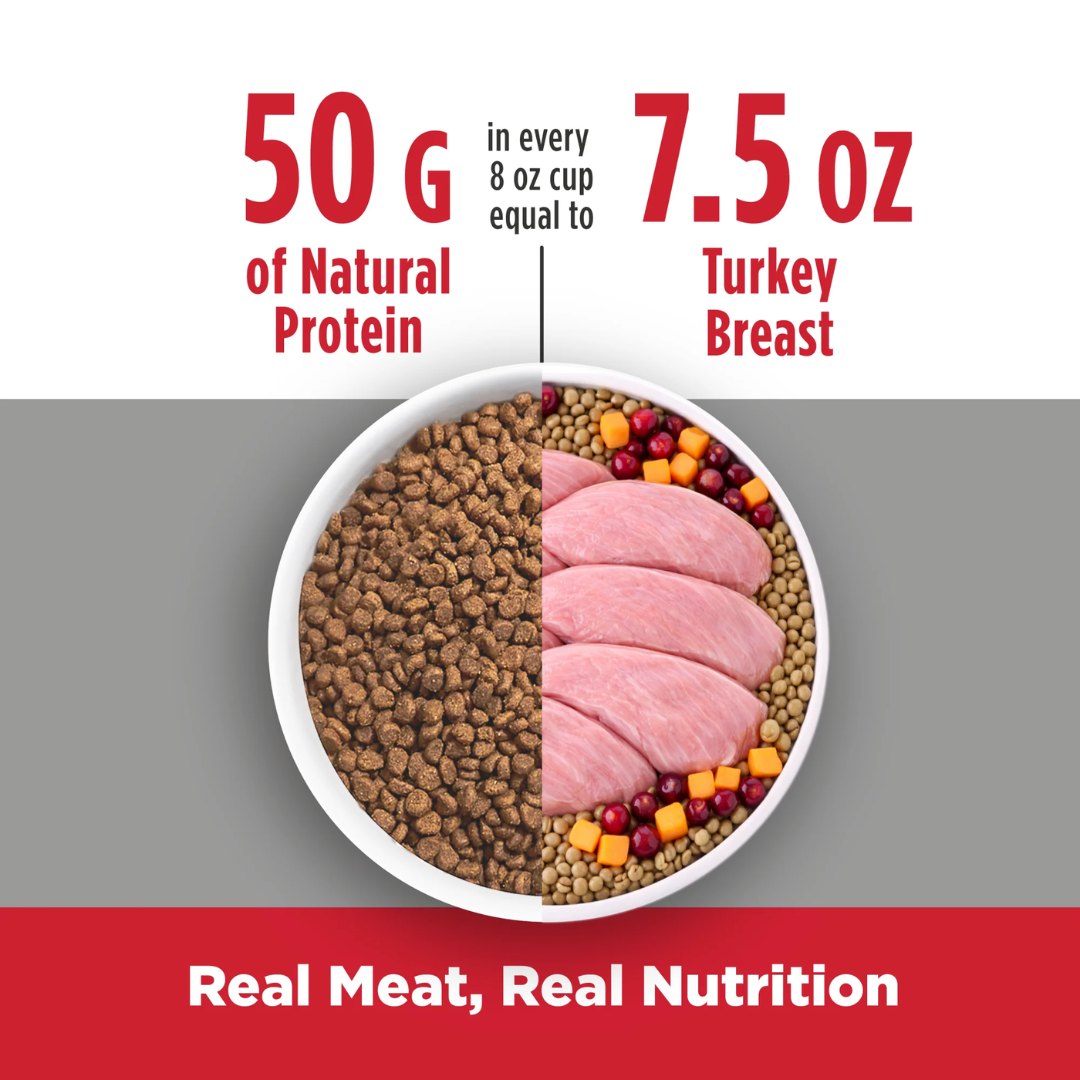 Nulo Freestyle Dry Cat Food - High-Protein Kibble Hairball Management Turkey & Cod Recipe