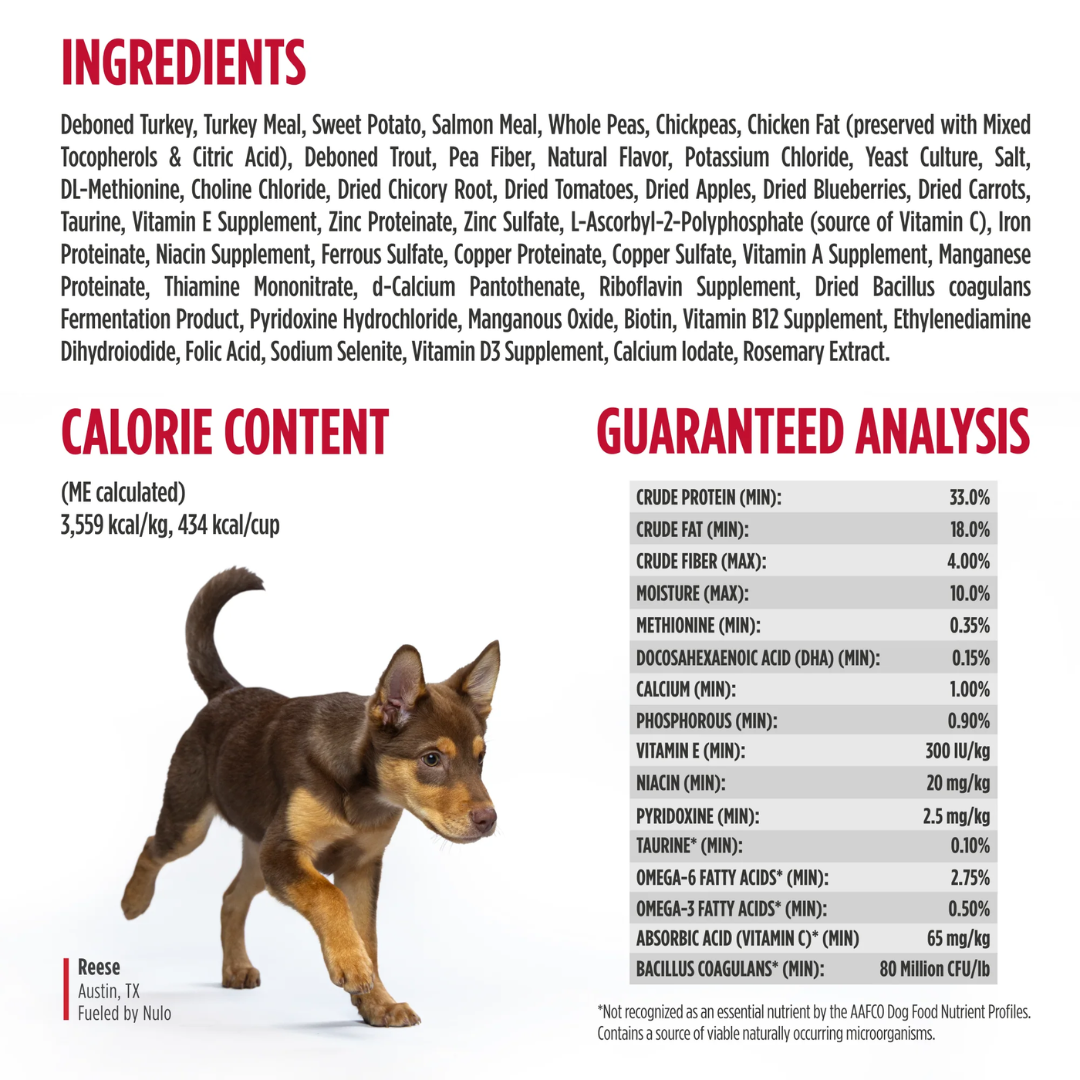 Nulo Freestyle Dry Dog Food - High-Protein Kibble Turkey & Sweet Potato Recipe