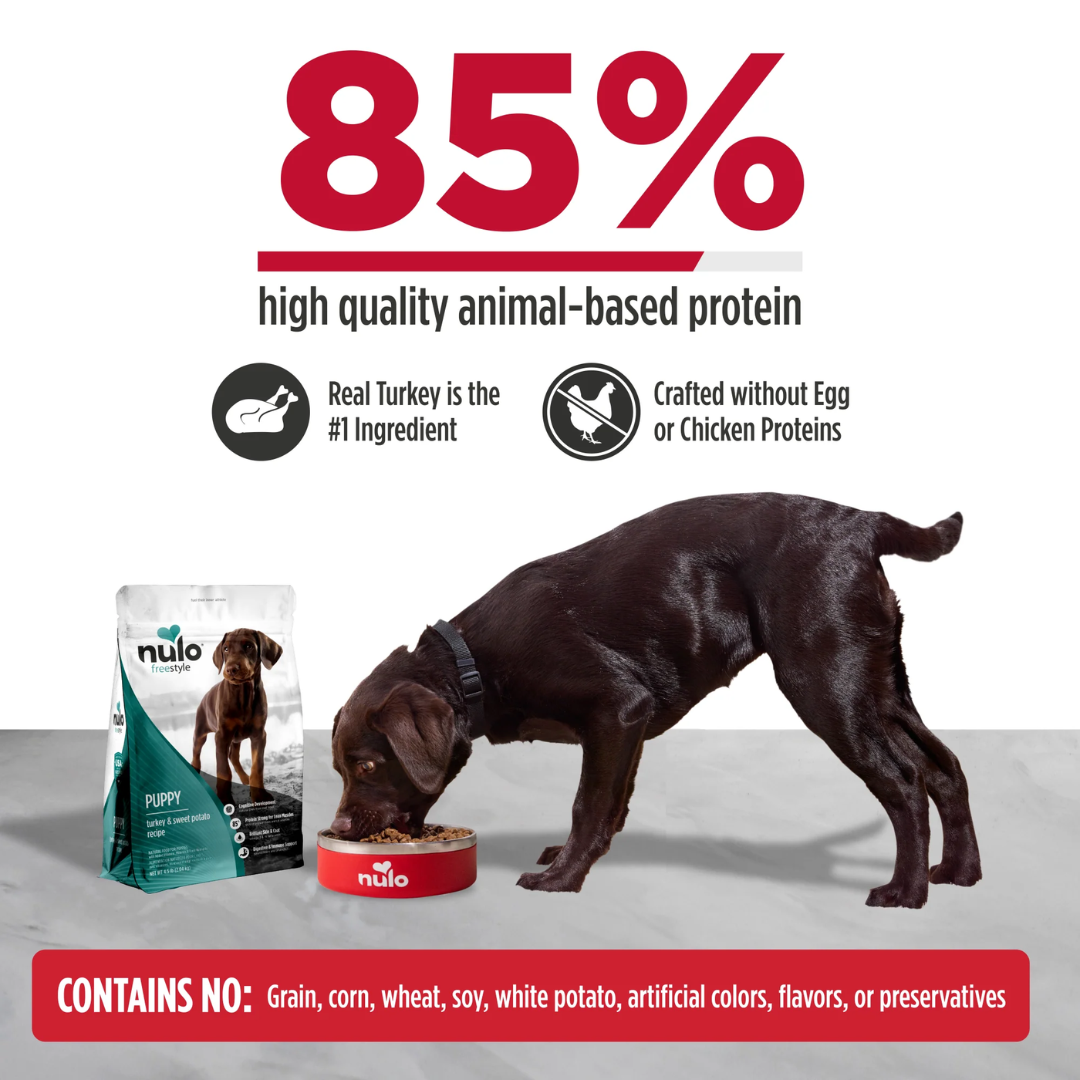 Nulo Freestyle Dry Dog Food - High-Protein Kibble Turkey & Sweet Potato Recipe