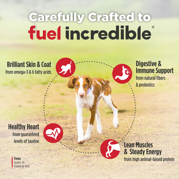 Nulo Freestyle Dry Dog Food - High-Protein Kibble Turkey & Sweet Potato Recipe