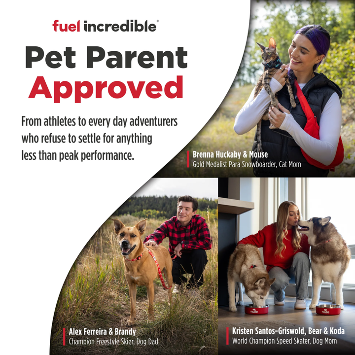 Nulo Freestyle Dry Dog Food - High-Protein Kibble Turkey & Sweet Potato Recipe