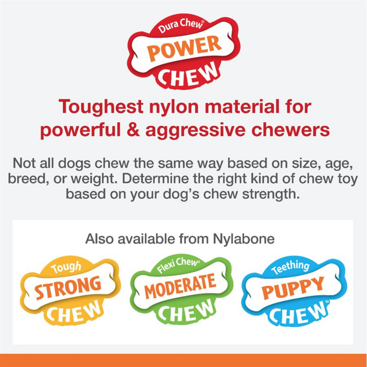 Nylabone Dog Toys - Flavor Frenzy Texture Bone Philly Cheesesteak
