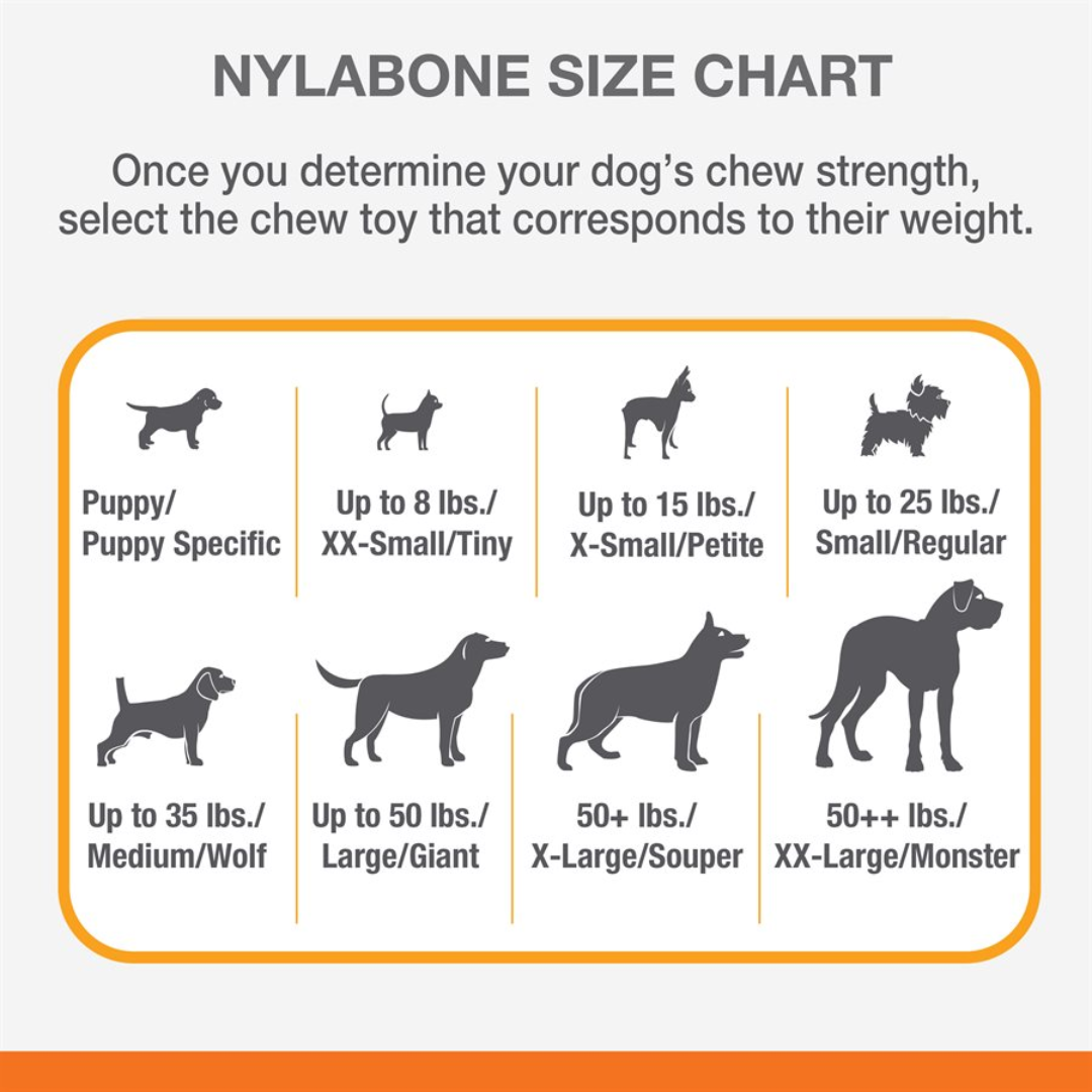 Nylabone Dog Toys - Flavor Frenzy Texture Bone Philly Cheesesteak