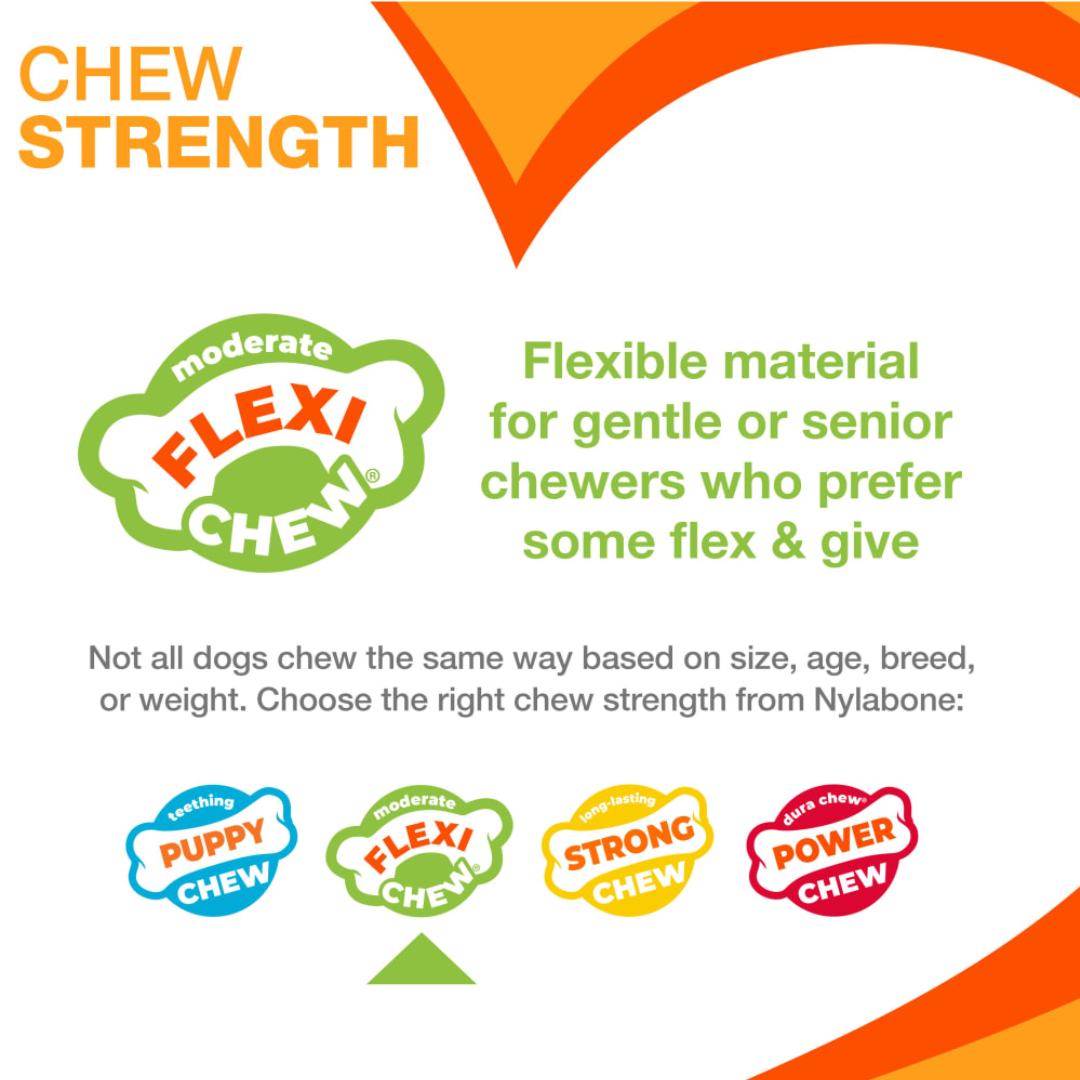 Nylabone Dog Toys - Flexi Chew Gumabone Textured Dental Bone Chew Chicken Flavor