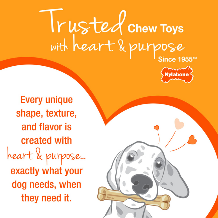 Nylabone Dog Toys - Flexi Chew Gumabone Textured Dental Bone Chew Chicken Flavor
