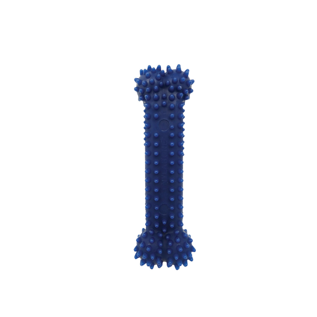 Nylabone Dog Toys - Flexi Chew Gumabone Textured Dental Bone Chew Chicken Flavor