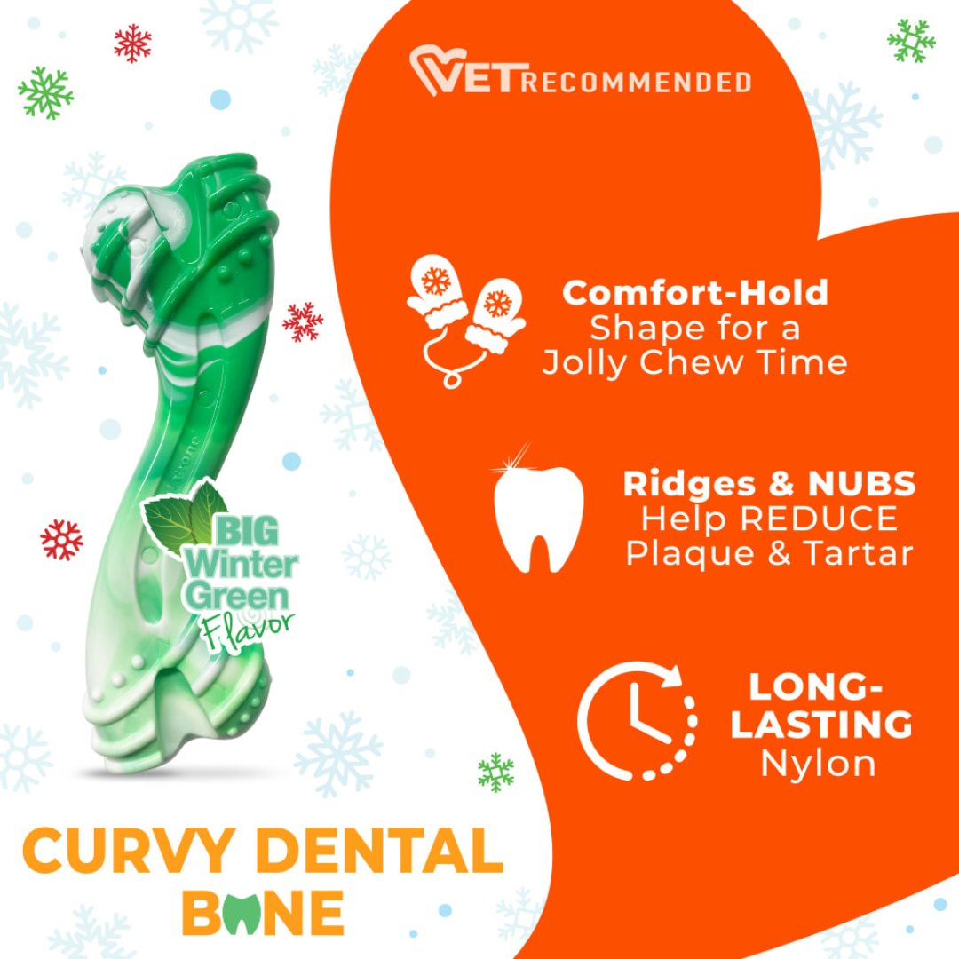 Nylabone Dog Toys - Holiday Power Chew Curvy Dental Bone Chew