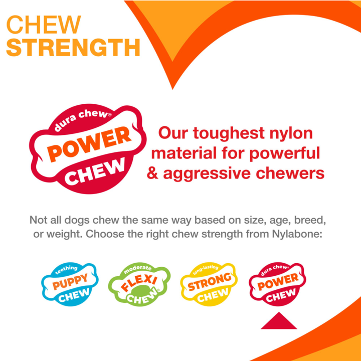 Nylabone Dog Toys - Holiday Power Chew Curvy Dental Bone Chew