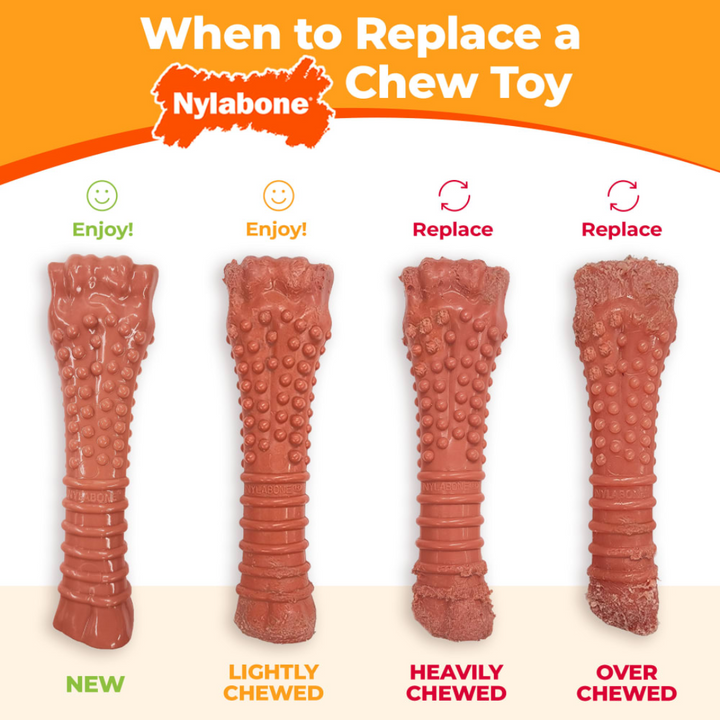 Nylabone Dog Toys - Power Chew Original Bone Bacon