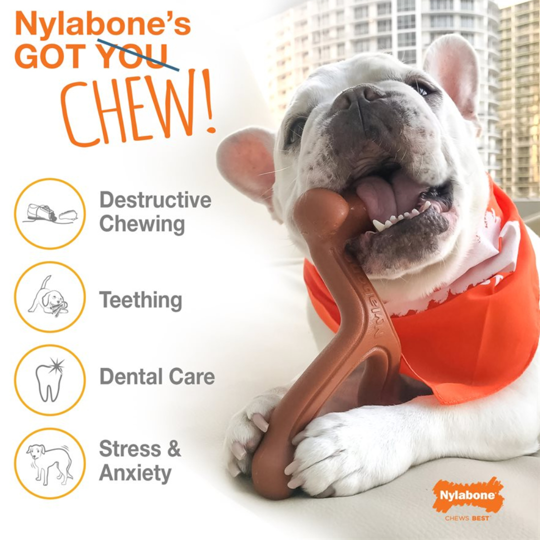 Nylabone Dog Toys - Power Chew Original Bone Peanut Butter
