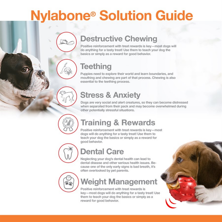 Nylabone Dog Toys - Power Chew Original Bone Peanut Butter