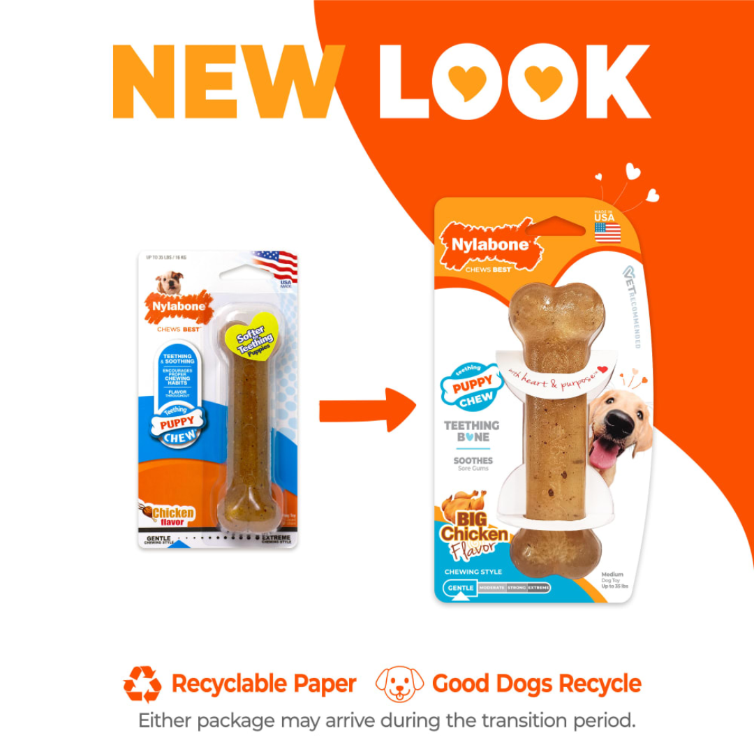 Nylabone Dog Toys - Puppy Chew Teething Bone Chew Chicken Flavor