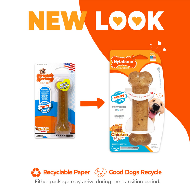Nylabone Dog Toys - Puppy Chew Teething Bone Chew Chicken Flavor