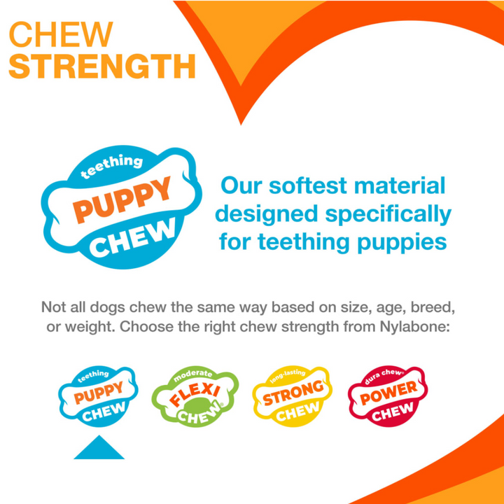 Nylabone Dog Toys - Puppy Chew Teething Bone Chew Chicken Flavor