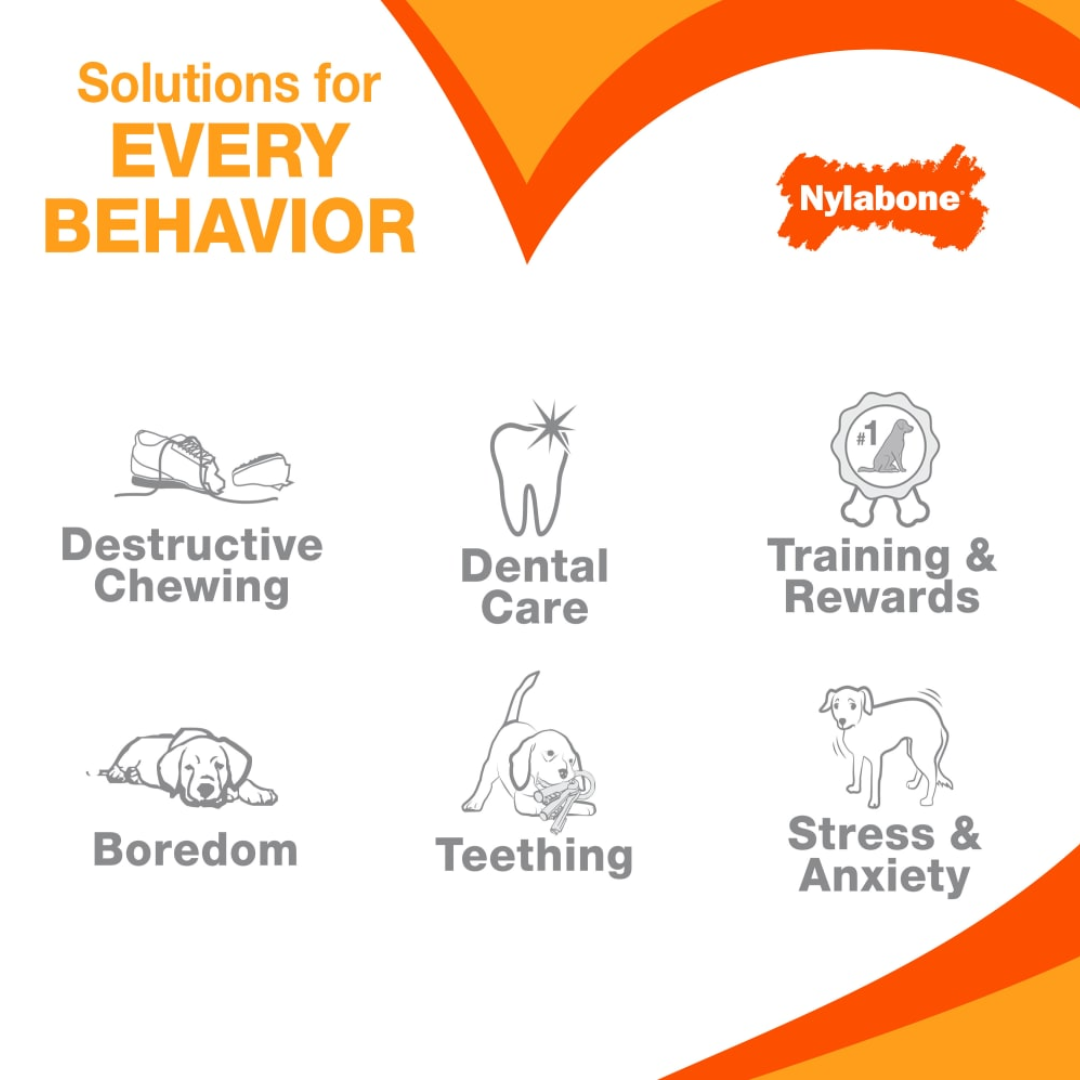 Nylabone Dog Toys - Puppy Chew Teething Bone Chew Chicken Flavor