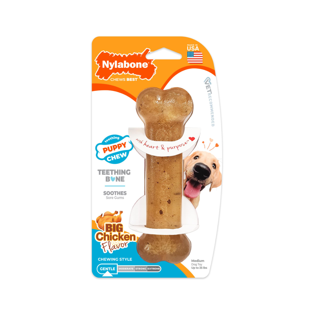 Nylabone Dog Toys - Puppy Chew Teething Bone Chew Chicken Flavor