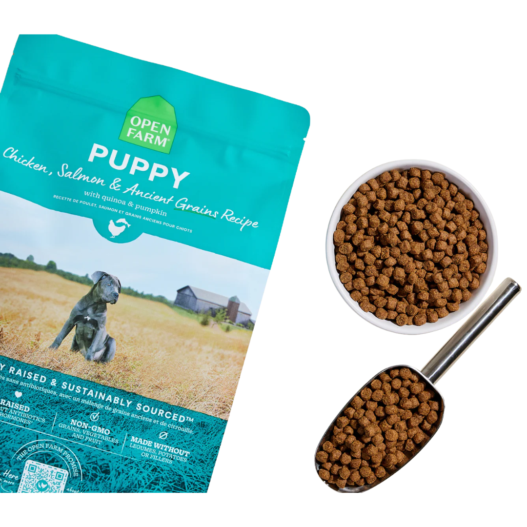 Open Farm Dry Dog Food - Chicken & Salmon Ancient Grains Puppy Kibble