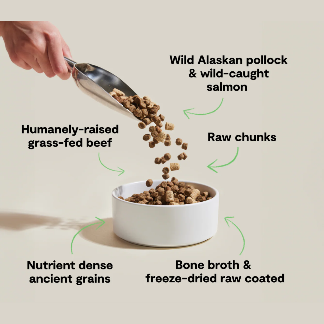 Open Farm Dry Dog Food - RawMix Tide & Terrain Ancient Grains Kibble