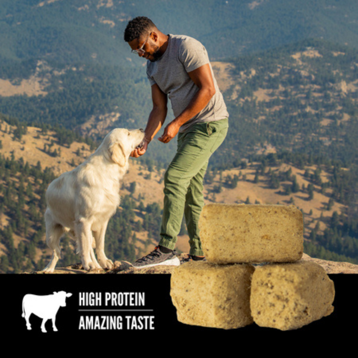 Orijen Freeze-Dried Dog Treats - Regional Red Recipe